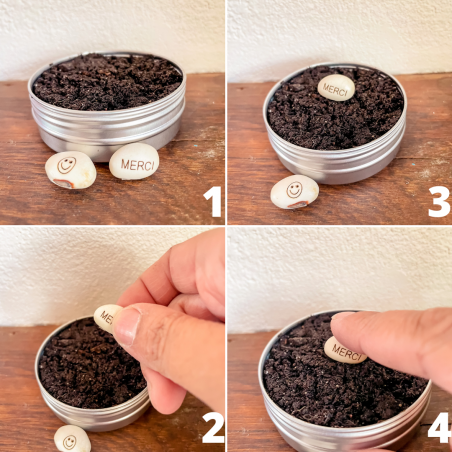 Kit Haricot Magique - NOËL