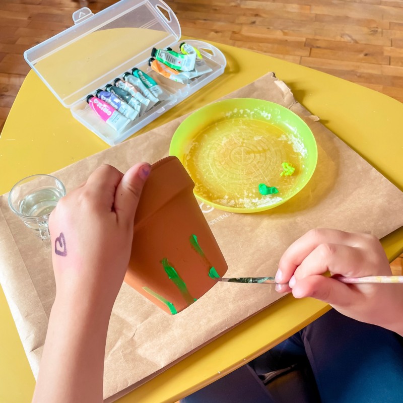 Kit Haricot Magique - NOËL