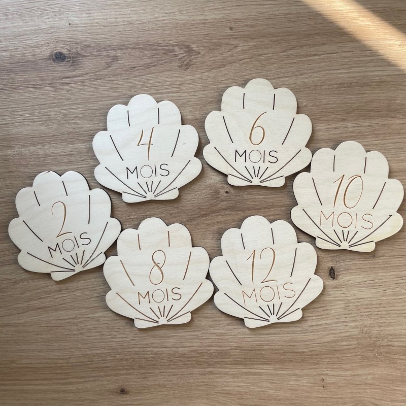 DESTOCKAGE Coquillage - 1ère Année