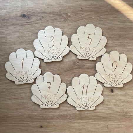 DESTOCKAGE Coquillage - 1ère Année