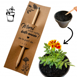 Crayon à planter