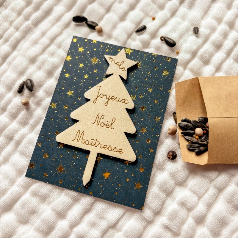 Kit Graines Sapin – Cadeau Noël à personnaliser 🎄