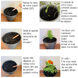 Crayon à planter – Cadeau Joyeuses Fêtes original 🎄 2