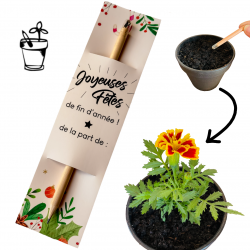 Crayon à planter – Cadeau Joyeuses Fêtes original 🎄