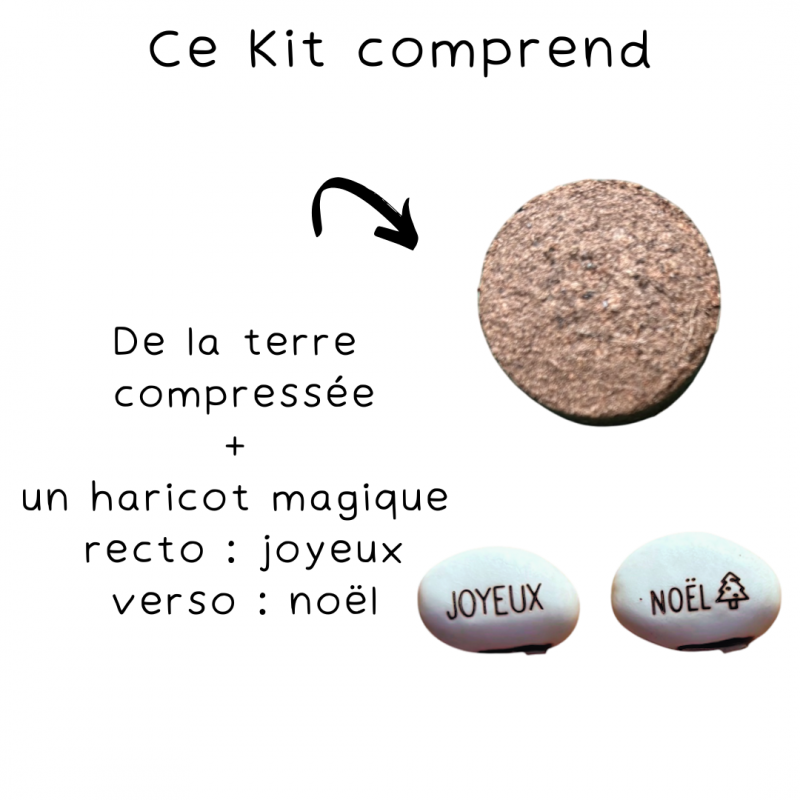 Kit Haricot Magique - NOËL
