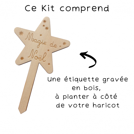 Kit Haricot Magique - NOËL