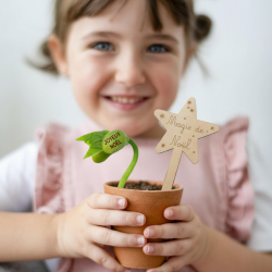 Kit Haricot Magique - NOËL 2