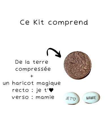 Kit Haricot Magique Mamie – Cadeau fête des grands-mères 🌱