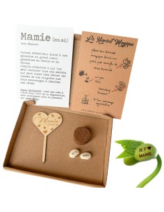 Kit Haricot Magique Mamie – Cadeau fête des grands-mères 🌱
