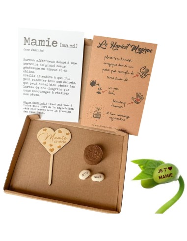 Kit Haricot Magique Mamie – Cadeau fête des grands-mères 🌱
