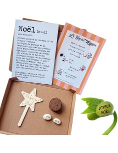 Kit Haricot Magique - NOËL