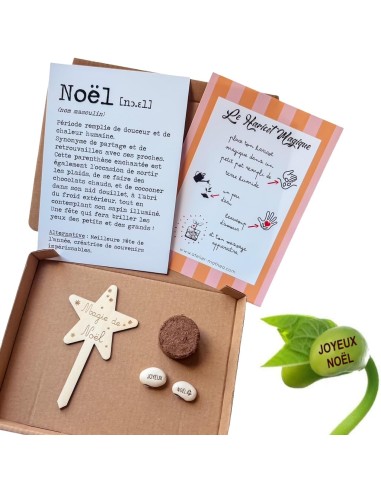 Kit Haricot Magique - NOËL