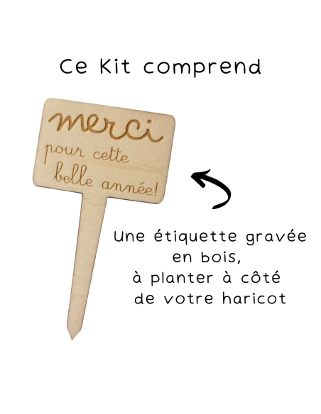Kit Haricot Magique Maîtresse – Cadeau Fin d'Année Ecole 🌱