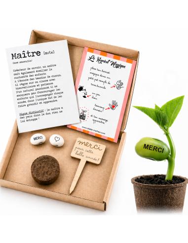 Kit Haricot Magique Maître – Cadeau Fin d'Année Ecole 🌱