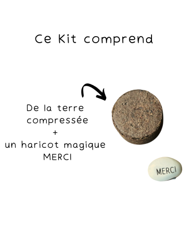 Kit Haricot Magique ATSEM – Cadeau Fin d'Année Ecole 🌱