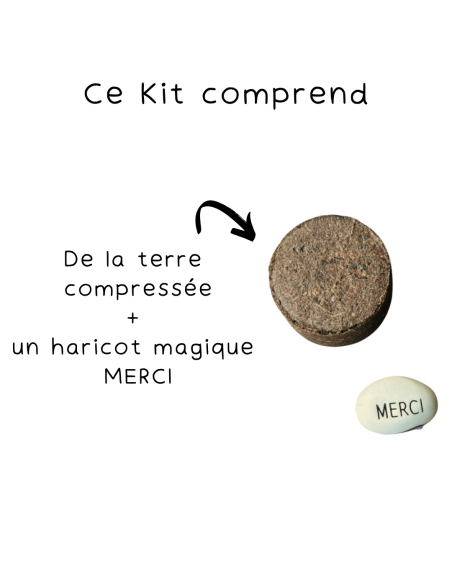 Kit Haricot Magique ATSEM – Cadeau Fin d'Année Ecole 🌱