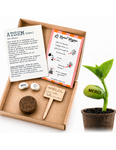 Kit Haricot Magique ATSEM – Cadeau Fin d'Année Ecole 🌱