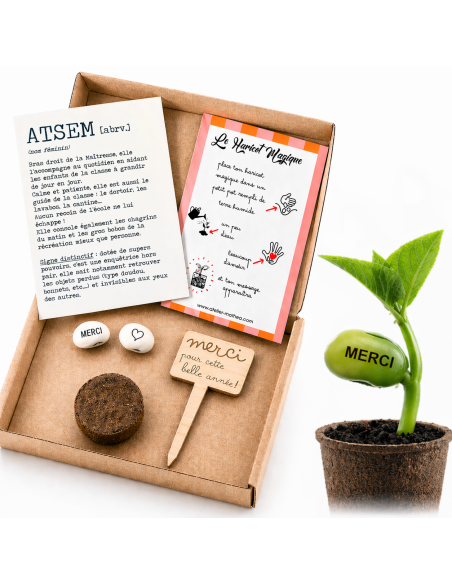 Kit Haricot Magique ATSEM – Cadeau Fin d'Année Ecole 🌱