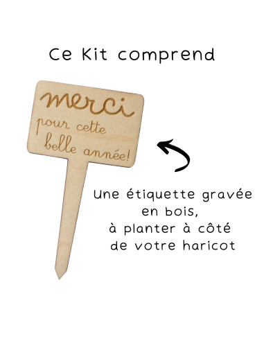 Kit Haricot Magique Nounou – Cadeau Fin d'Année 🌱