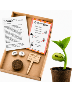 Kit Haricot Magique Nounou – Cadeau Fin d'Année 🌱