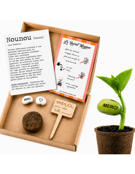 Kit Haricot Magique Nounou – Cadeau Fin d'Année 🌱