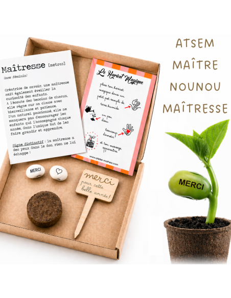 Kit Haricot Magique Personnalisé – Cadeau Fin d'Année Ecole 🌱